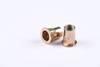  Flat Head Semi-hex Body Rivet Nut